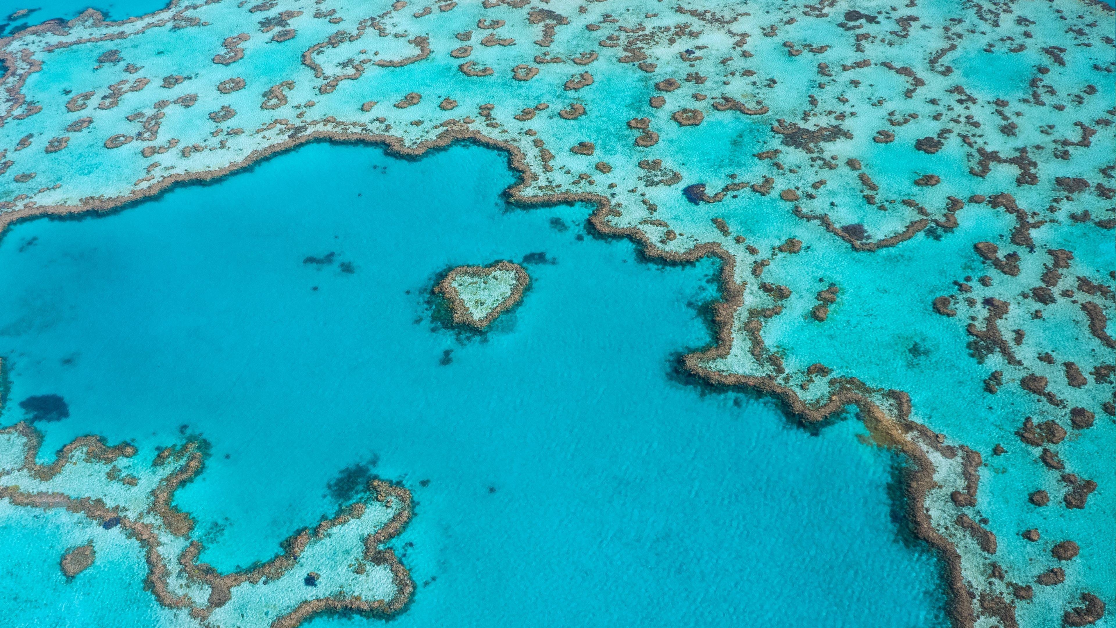 Resort Intercontinental Hayman Great Barrier Reef